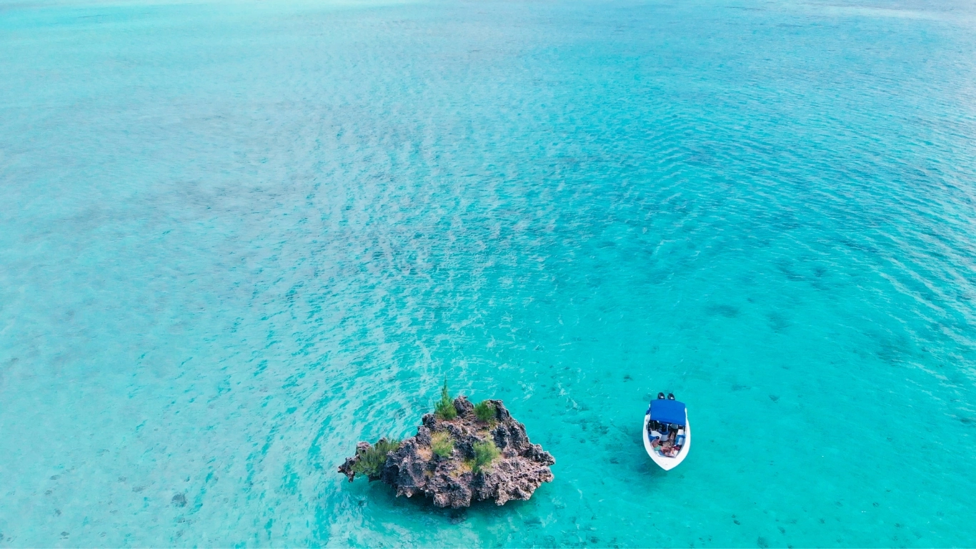Driver Taxi Mauritius
