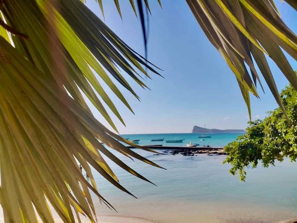 Get a Taxi in Mauritius