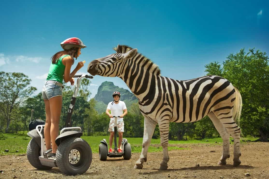Casela, Walk with Lions and other big cats, Quadbike, Safari Mauritius